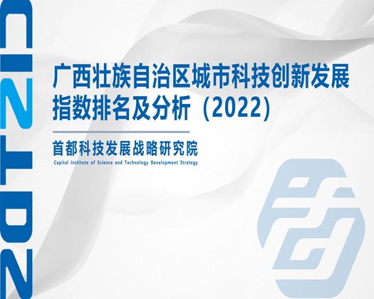 操亚洲女人的逼【成果发布】广西壮族自治区城市科技创新发展指数排名及分析（2022）